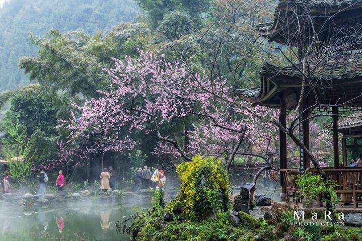 延续的是传承,超越的是使命——写在株洲市武冈商会换届之际